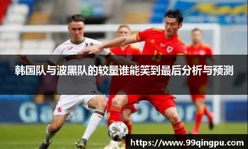 韩国队与波黑队的较量谁能笑到最后分析与预测
